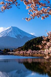 Mount Fuji with Cherry Blossoms in Japan