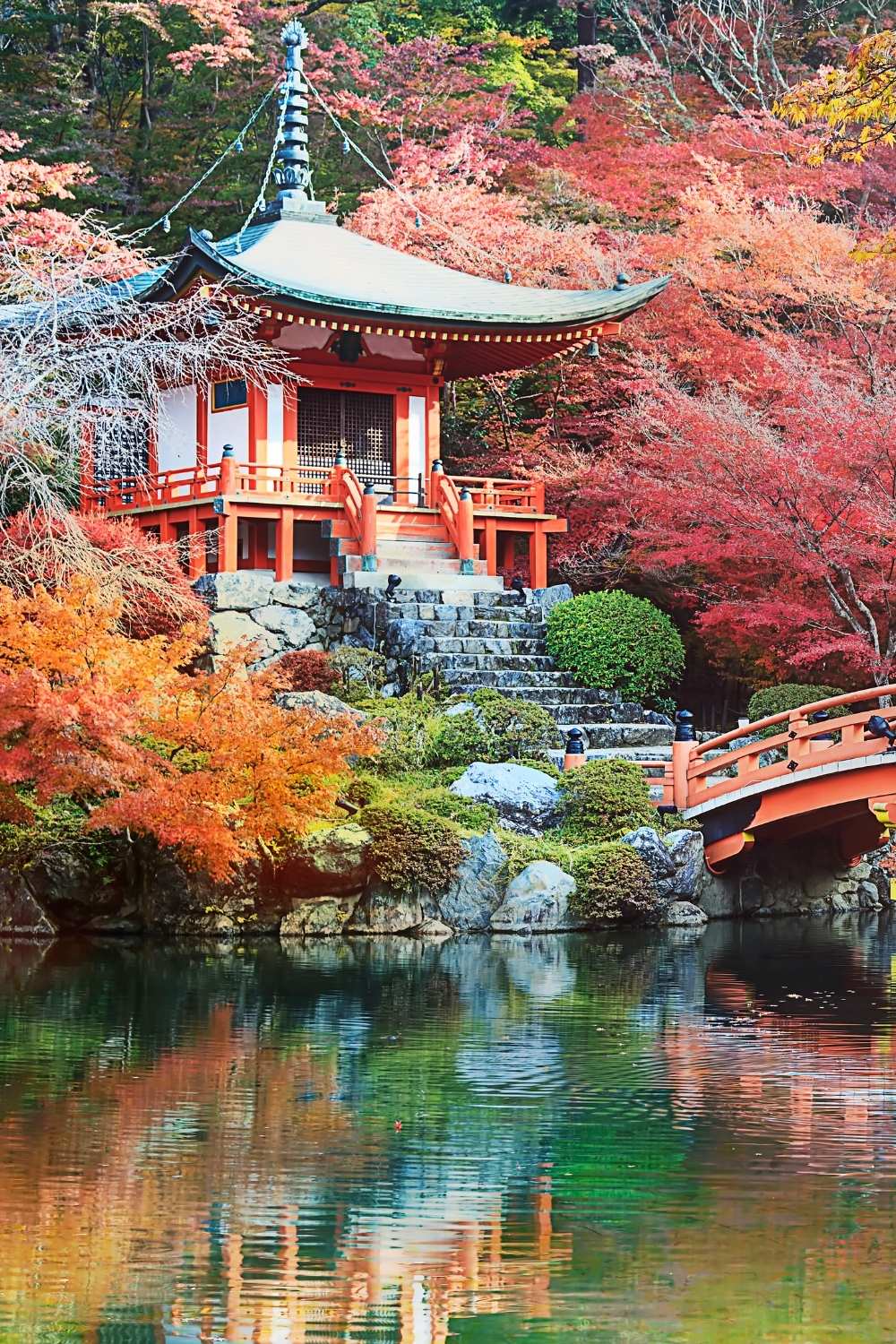 Kyoto Travel Guide for First-Time Visitors: Is Kyoto Worth Visiting?