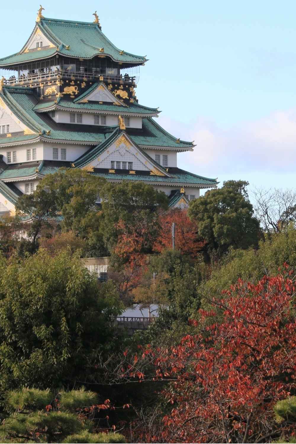 Osaka Solo Travel Guide: Is Osaka Safe and Worth Visiting Alone?