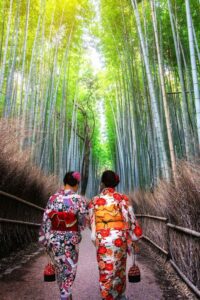 Kyoto Bamboo Forest