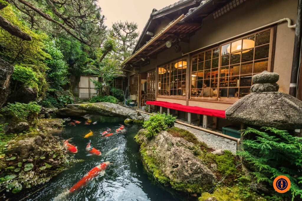 Japanese Koi Pond and Garden 