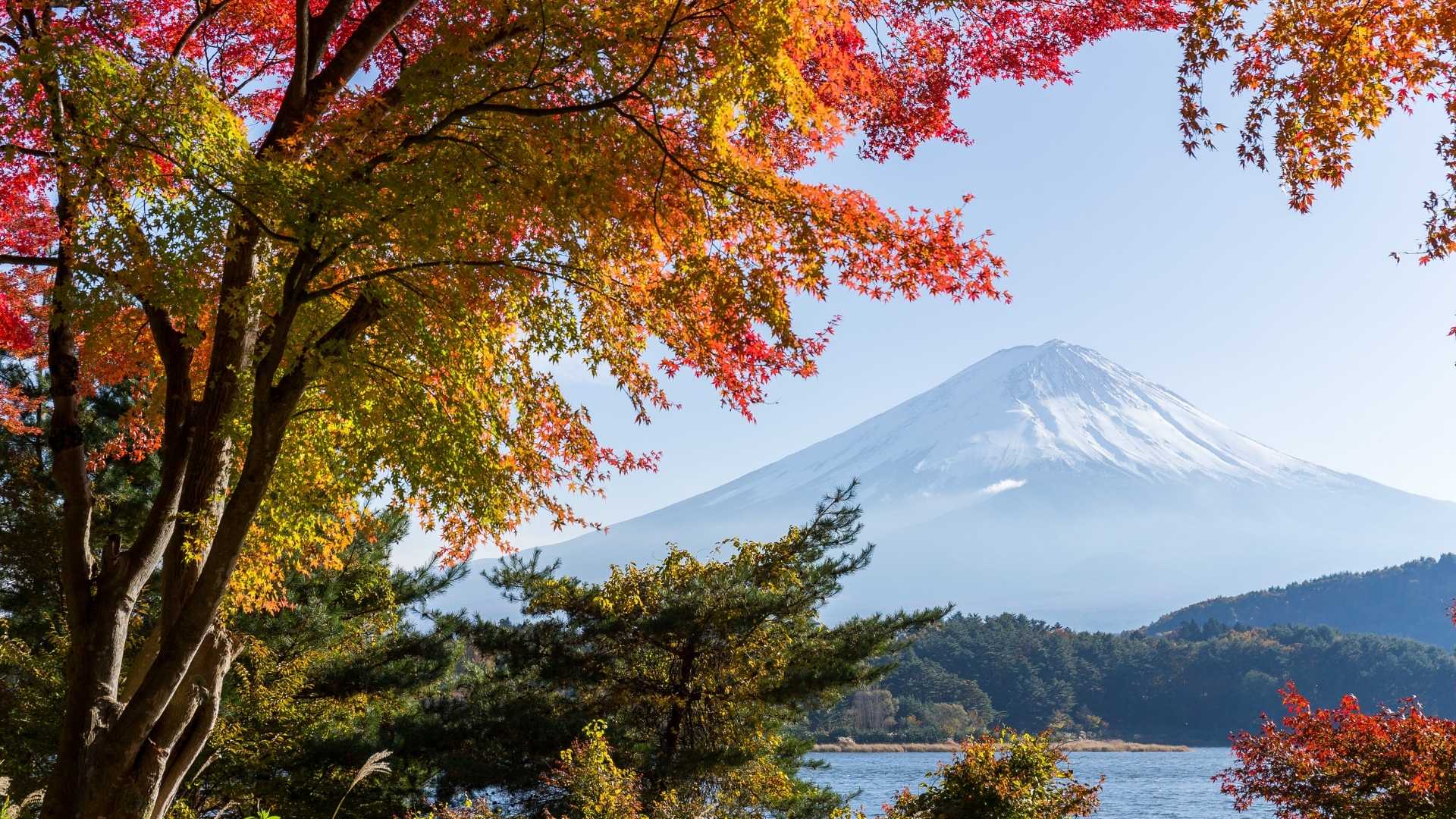 Mt Fuji in Autumn