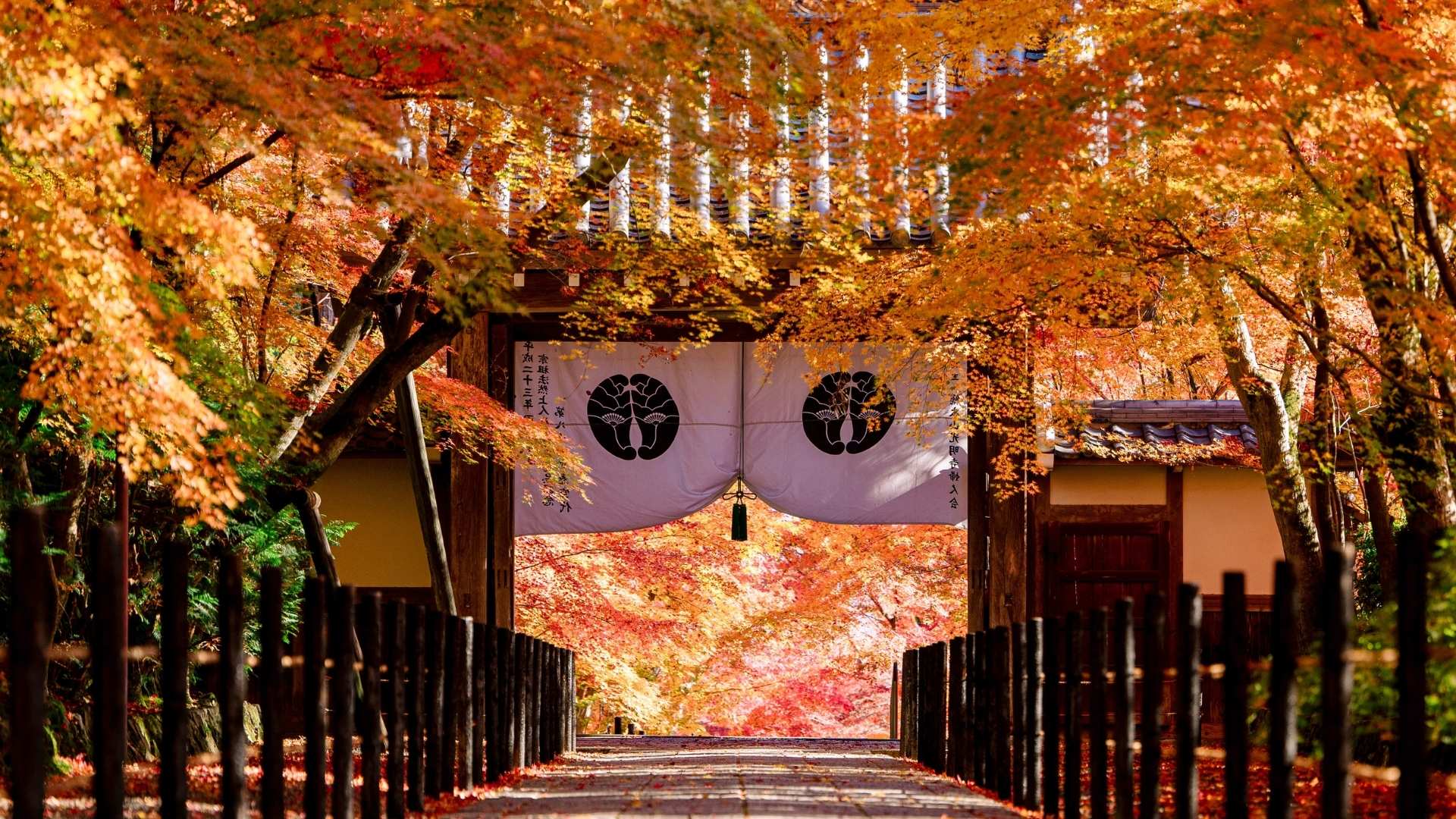 Kyoto Japan