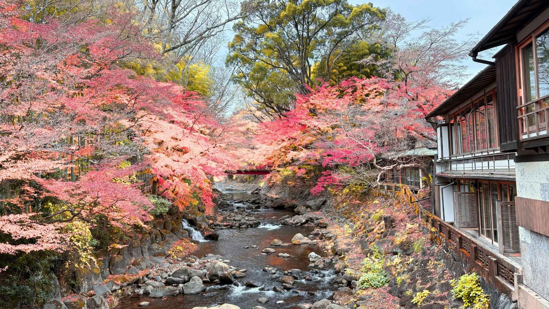 Scenic Autumn River View in Izu, Japan