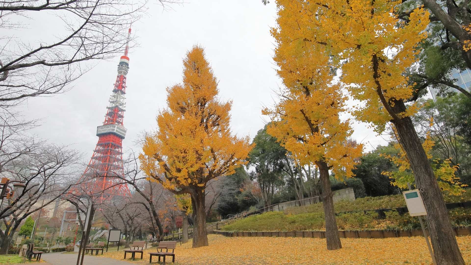 Tokyo Tower