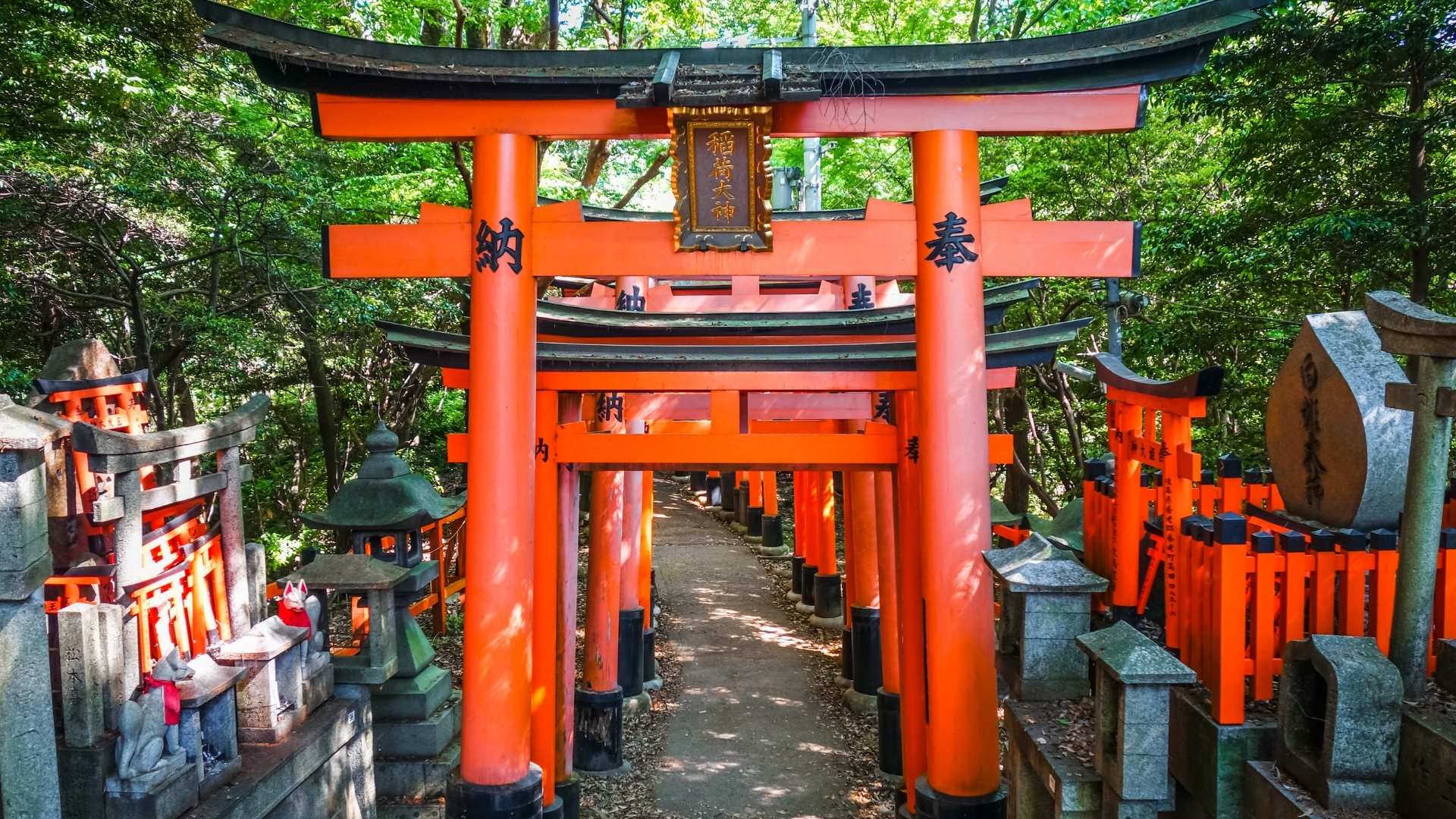 Vibrant Torii Gates at Fushimi Inari Shrine, Kyoto