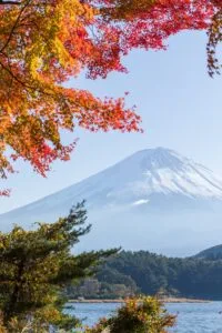 Mt Fuji in Autumn