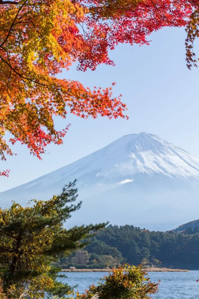 Japan 7 Days Itinerary for First-Time Visitors: Tokyo, Kyoto and Osaka