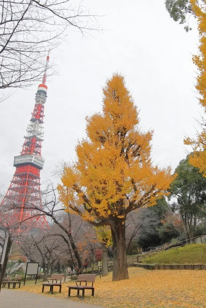Where to stay in Tokyo