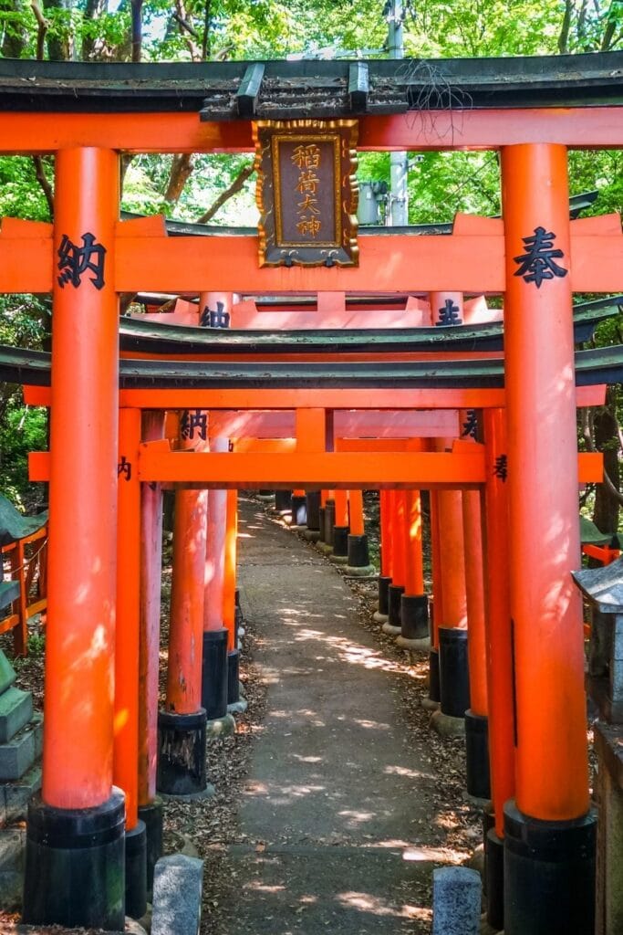 Kyoto Solo Travel Guide: Where to Stay, What to Do and How to Feel Confident