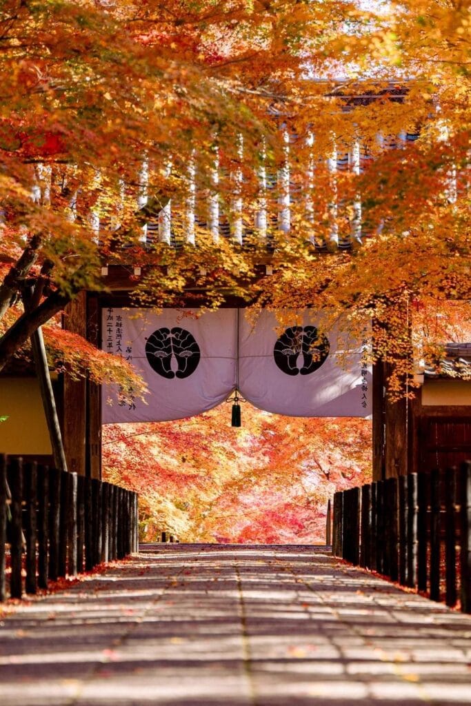 Is Osaka Better as a Base or Day Trip From Kyoto?