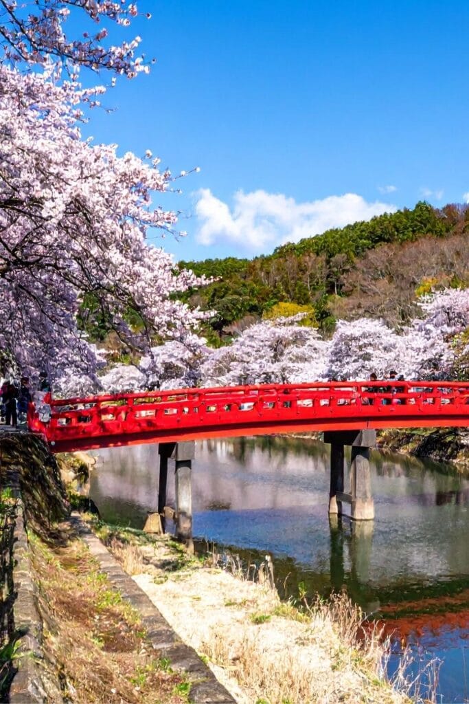 When to Book Japan Hotels by Season and Route?