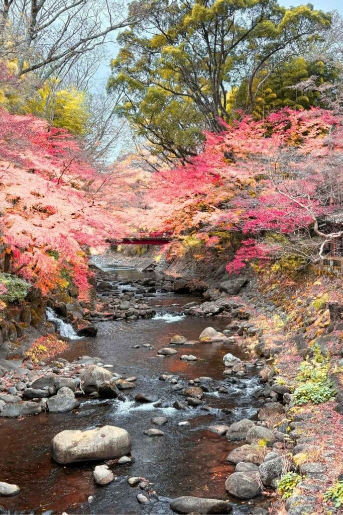 Is the JR Pass Worth It for First-Time Japan Trips in 2026?