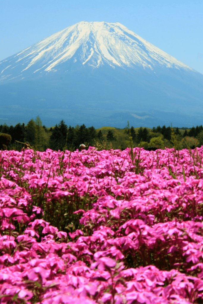 How Many Days in Japan for a First Trip? A 5, 7, 10 and 14 Day Guide
