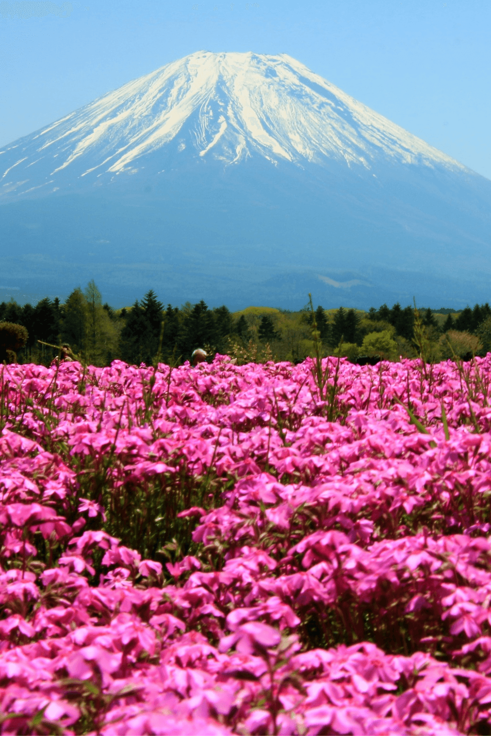 How Many Days in Japan for a First Trip? A 5, 7, 10 and 14 Day Guide