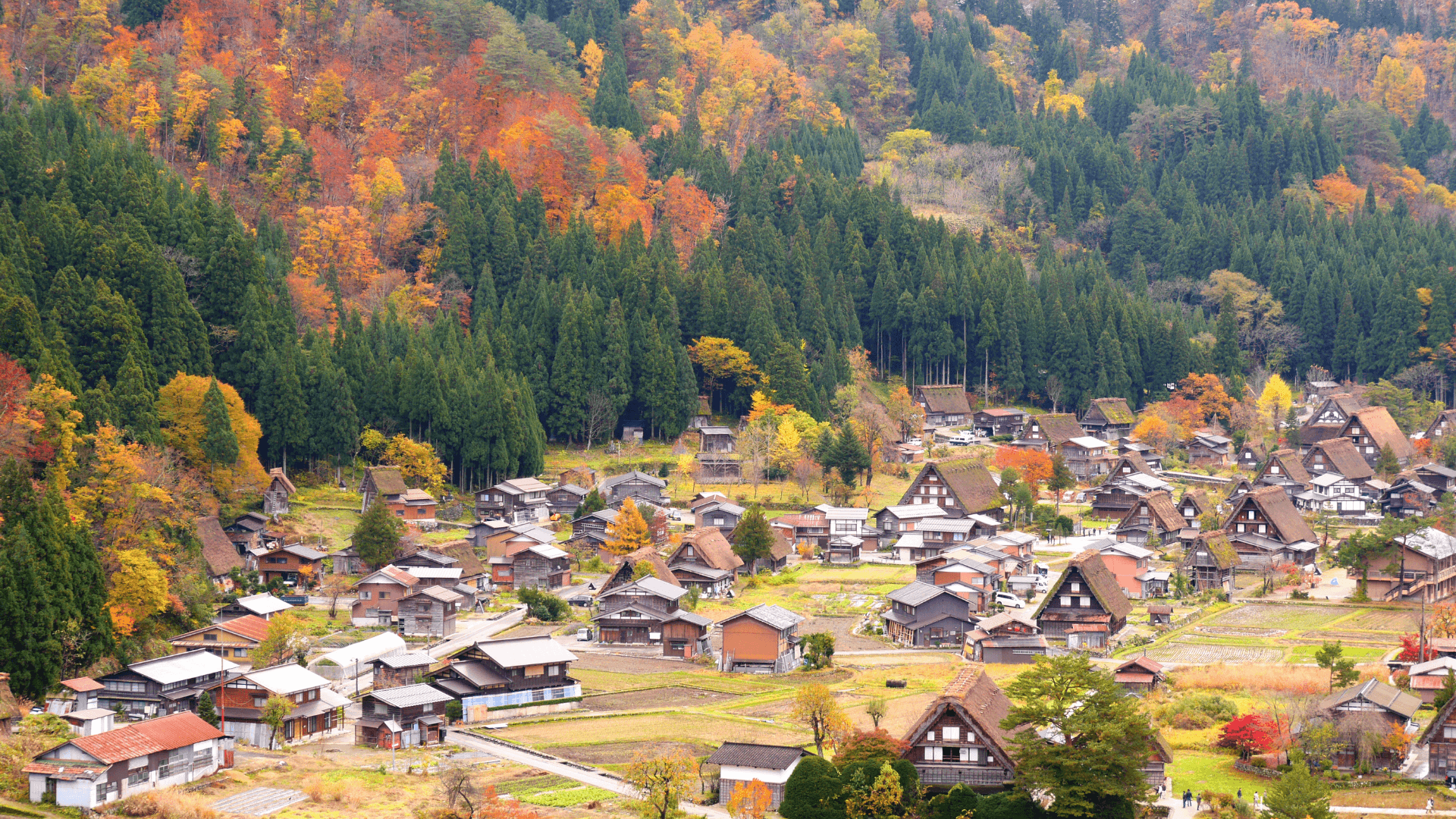 Shirakawa-go