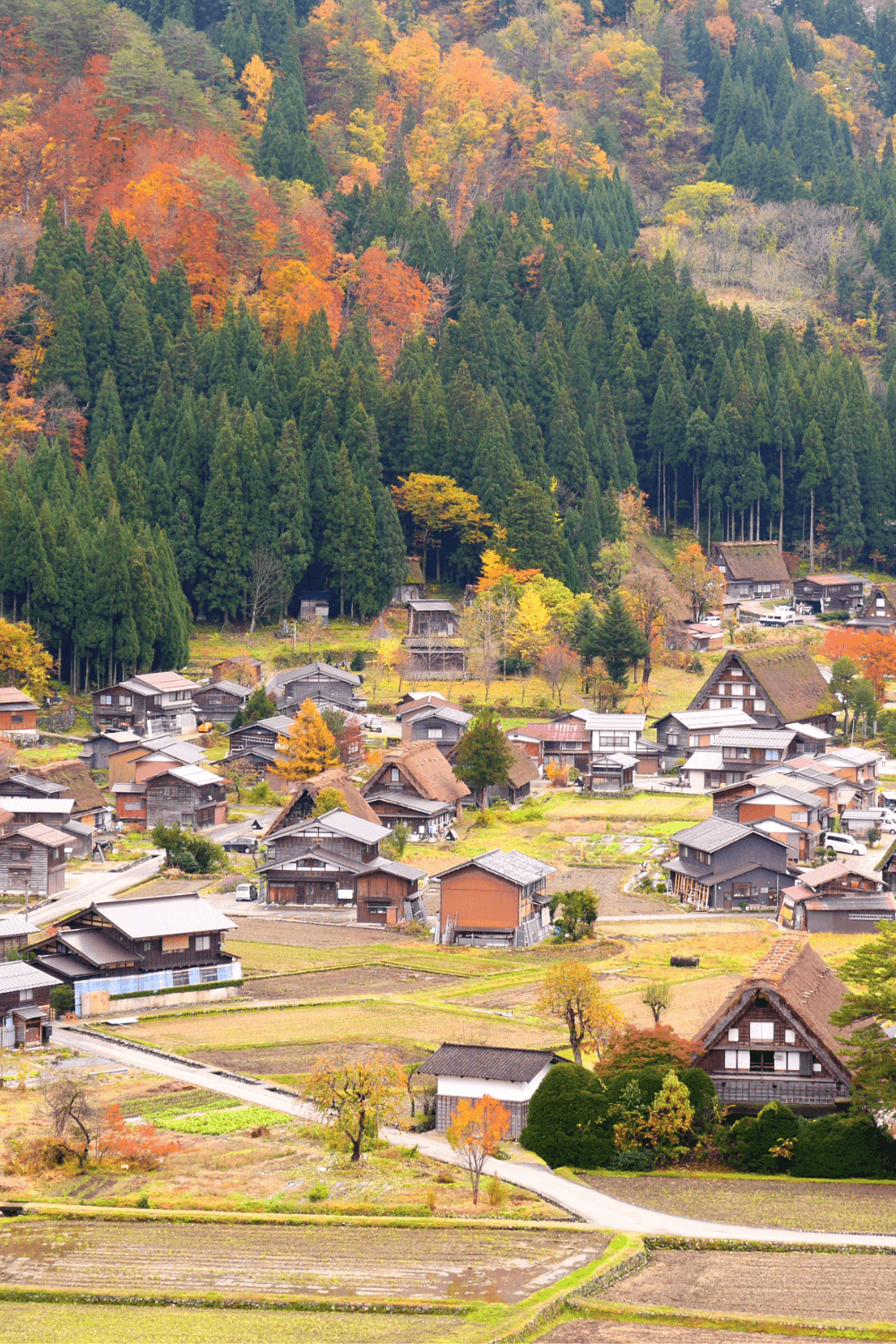 Shirakawa-go Day Trip: Kanazawa or Takayama?